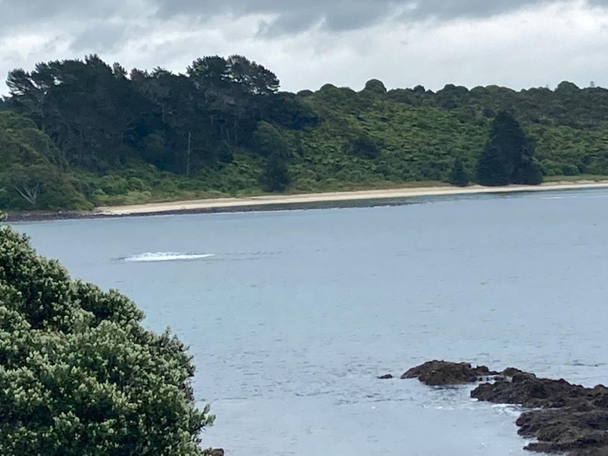 The Seahouse Lägenhet Kerikeri Exteriör bild